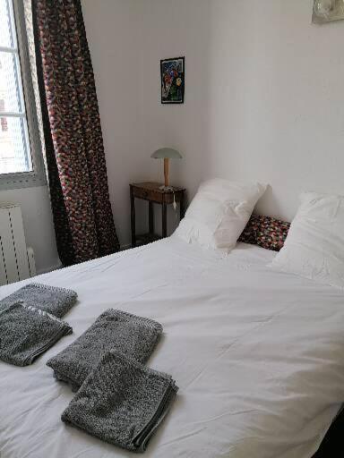 Appart'D'Oie Apartment ตูลูส ภายนอก รูปภาพ